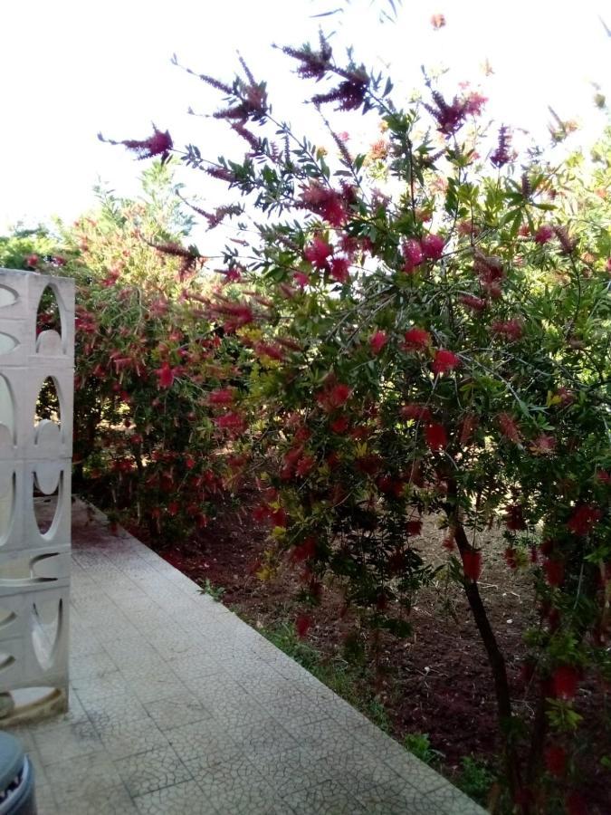 Villa Grazia Вьесте Экстерьер фото
